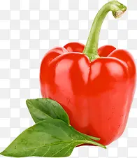 红色手绘青椒蔬菜