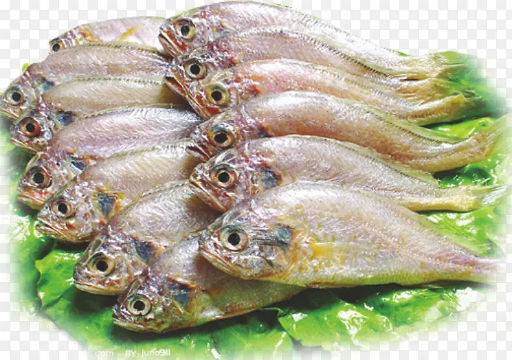 生鲜黄花鱼