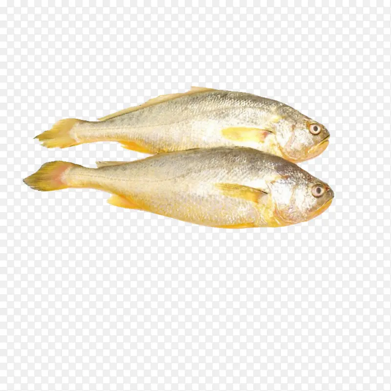 生鲜黄花鱼