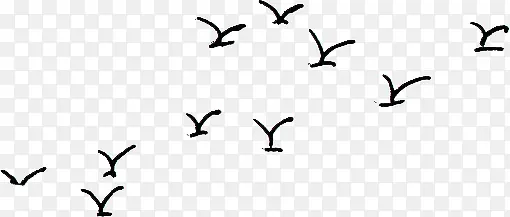 手绘简单线条海鸥