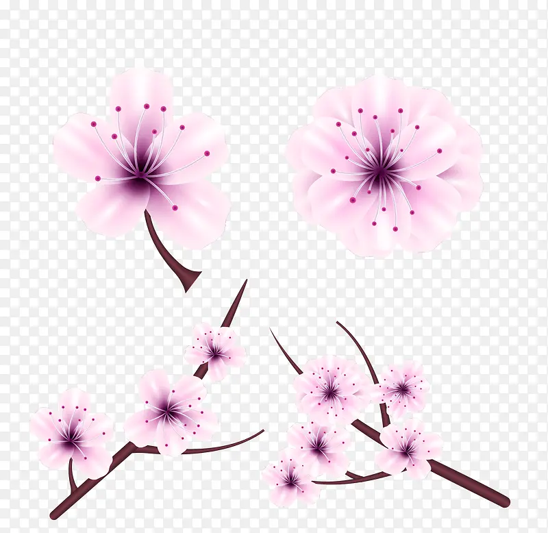 日本樱花节