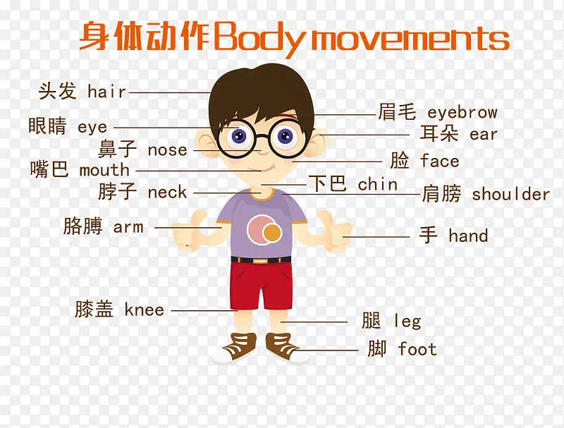 少儿身体英语