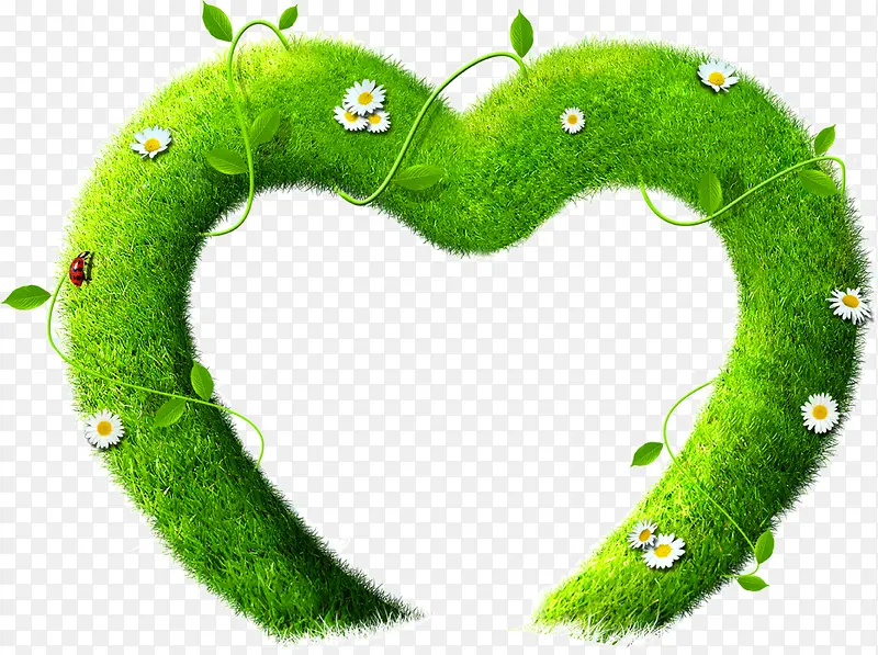 绿色植物爱心形状