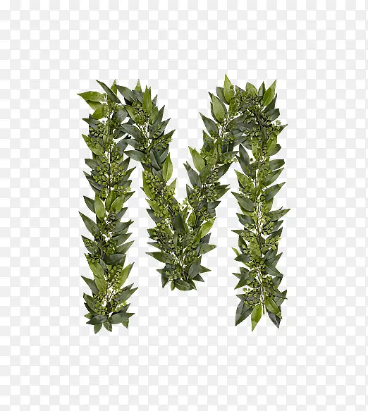 绿叶字母m