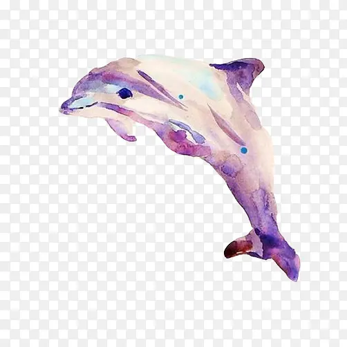 海豚水彩画素材图片