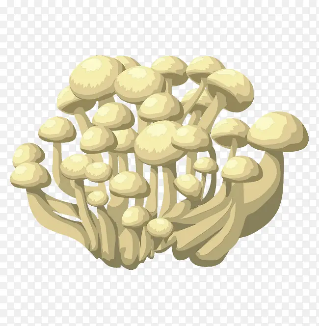 简笔画食材金针菇