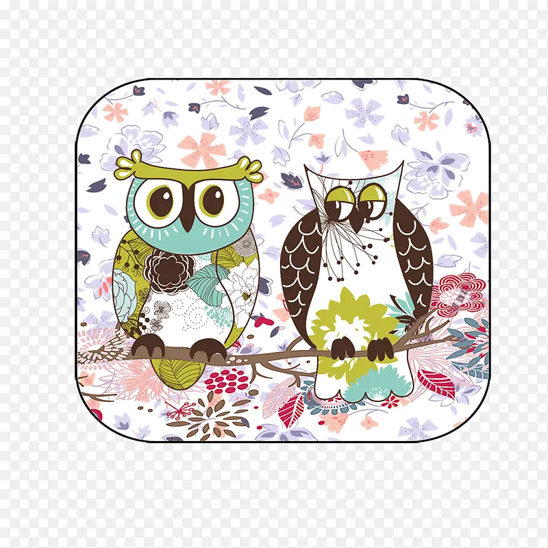 卡通猫头鹰义