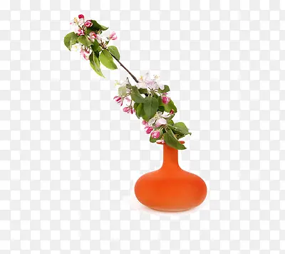 一个橘红色花瓶里斜插着一支花