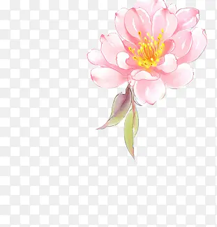 高清创意手绘粉红色的菊花