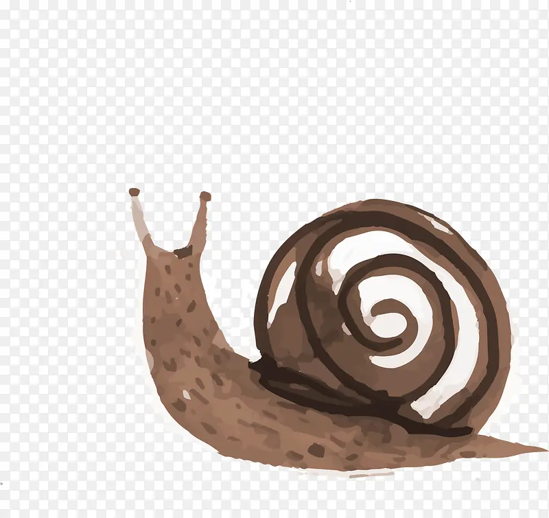 咖啡色手绘蜗牛