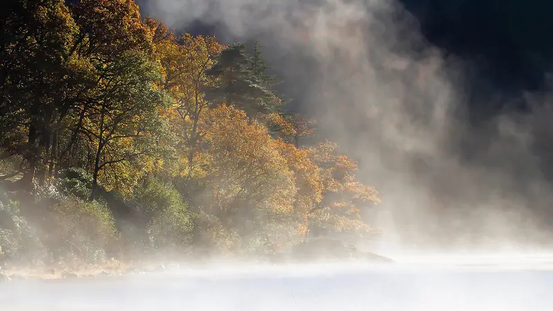 湖面烟雾树木雾气