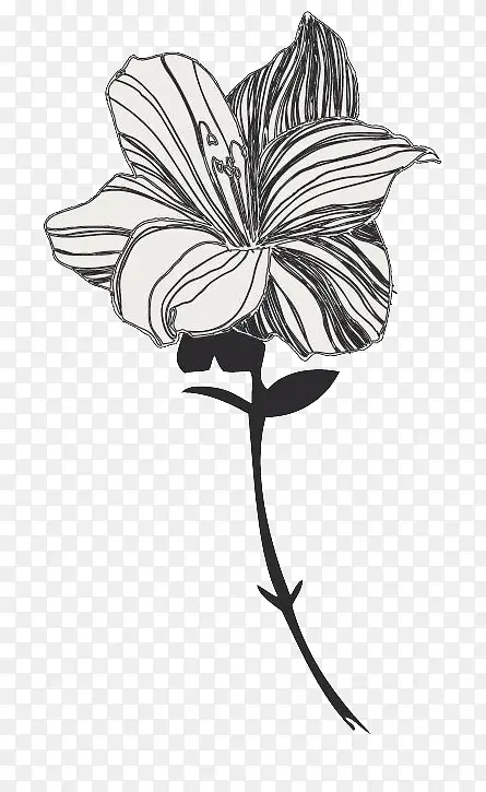 矢量手绘黑白花朵