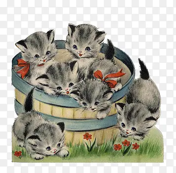 木桶里的猫星人