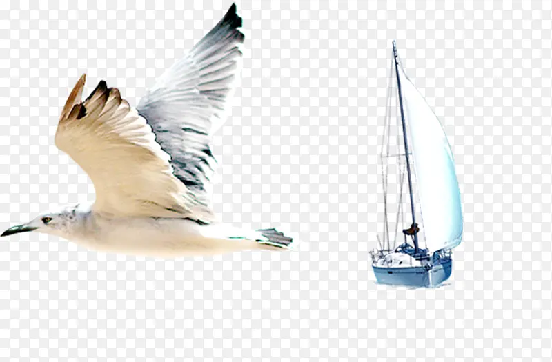 海鸥和帆船元素