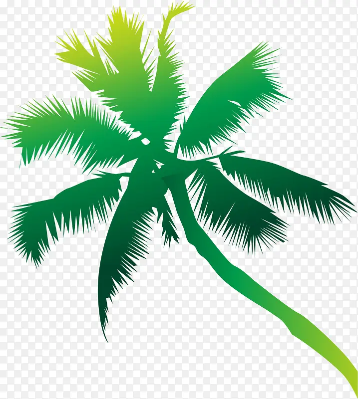 椰树剪影