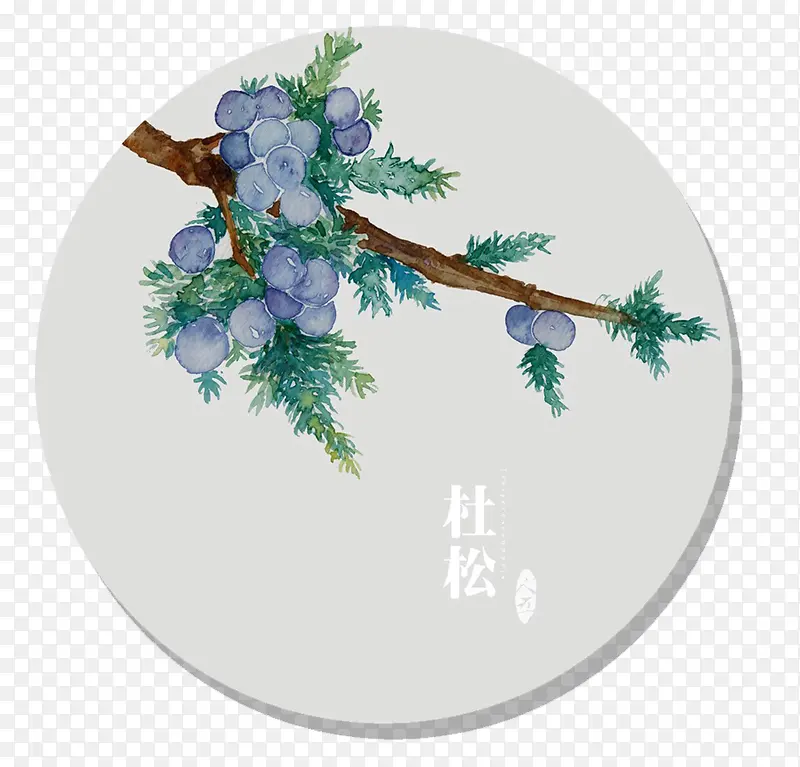 杜松