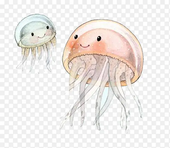 卡通海洋水母