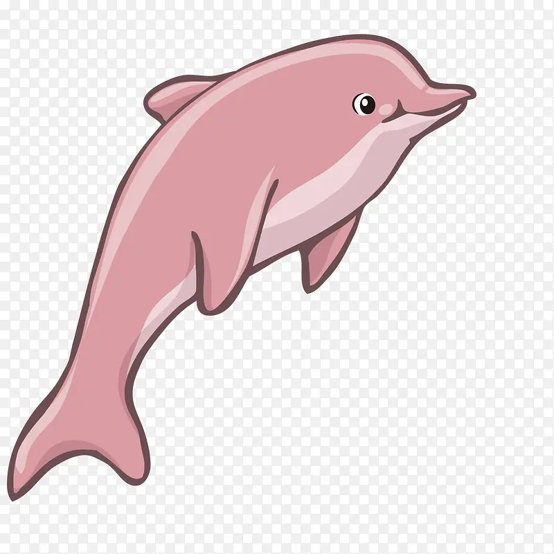 卡通海豚动物设计