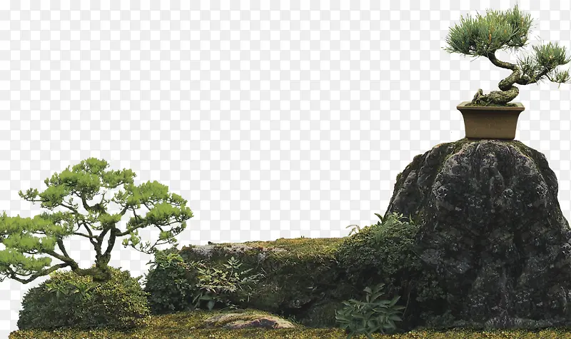 园林景观