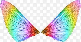 飞蛾翅膀PNG透明背景素材