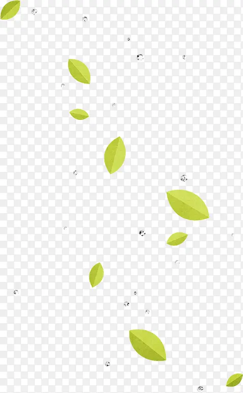 清新树叶PNG图片素材下载_图片编号qparlkmj-免抠素材网
