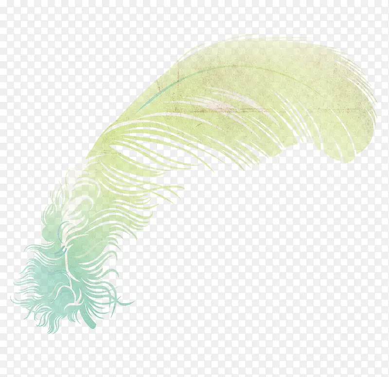彩色翅膀  梦幻羽毛