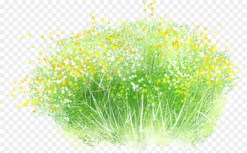 手绘户外清新花草植物