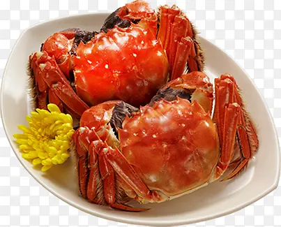 红色大闸蟹七夕