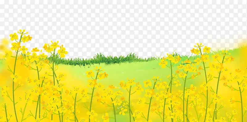 黄色春天油菜花背景图