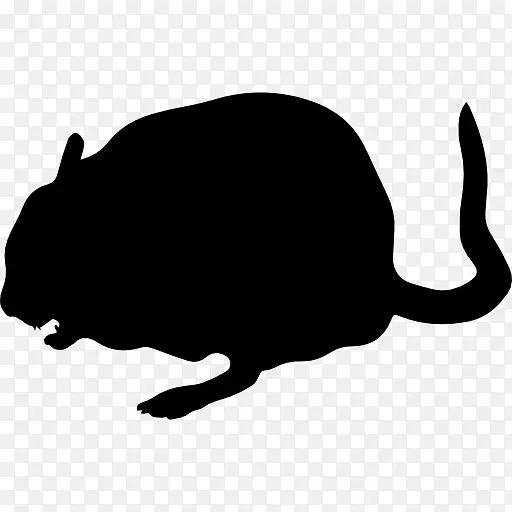 南美洲栗鼠动物形状图标