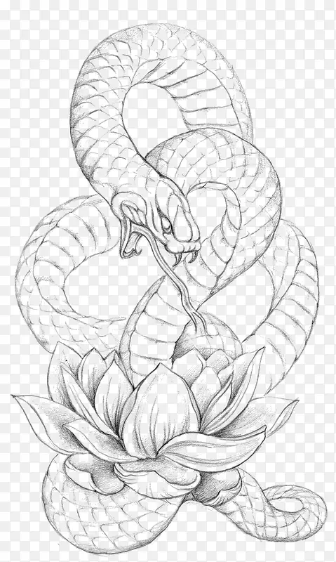 素描长蛇