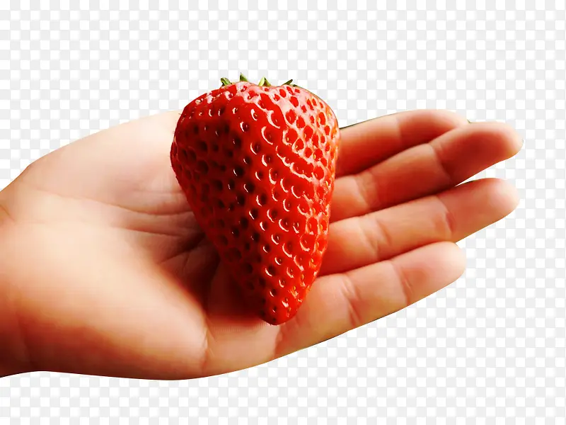 手摘草莓采摘图片素材
