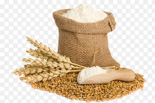 小麦跟面粉