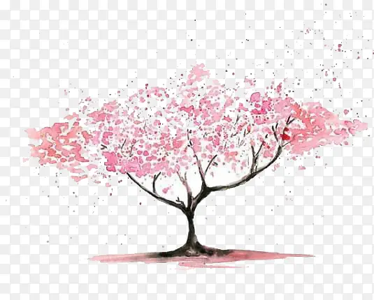 樱花树木