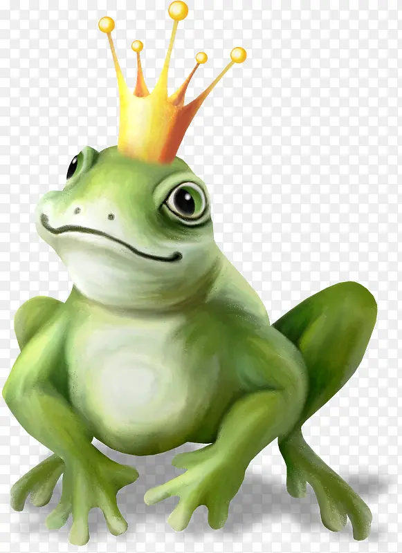 漂亮手绘青蛙王子