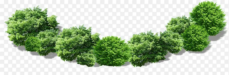 弧形绿色树木