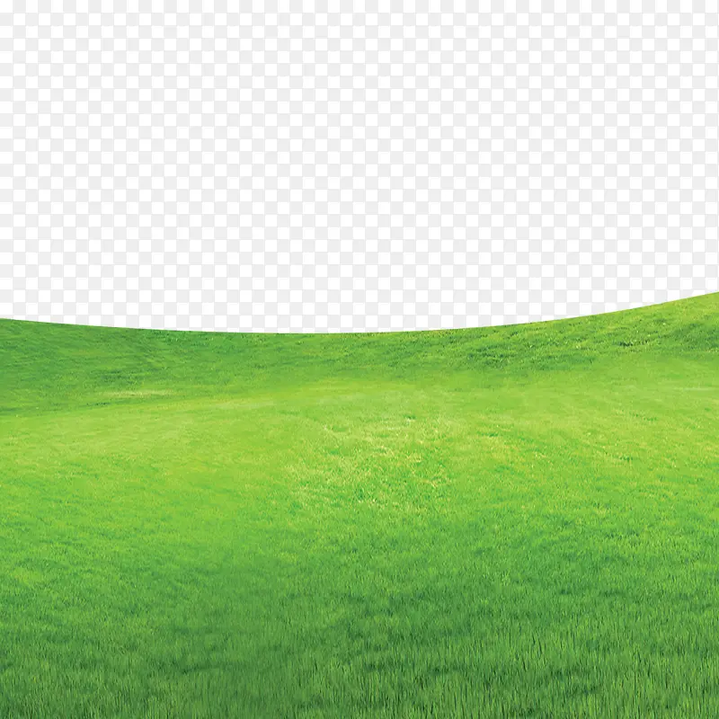 草地