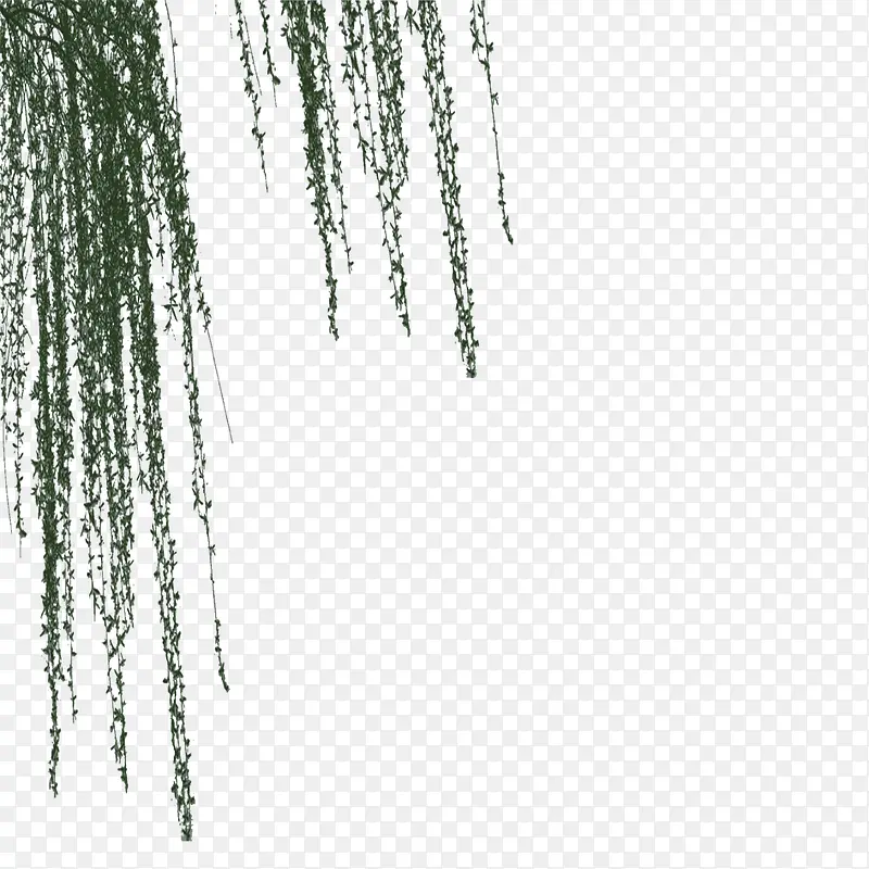 绿色植物PNG图片素材下载_图片编号yezpjgva-免抠素材网