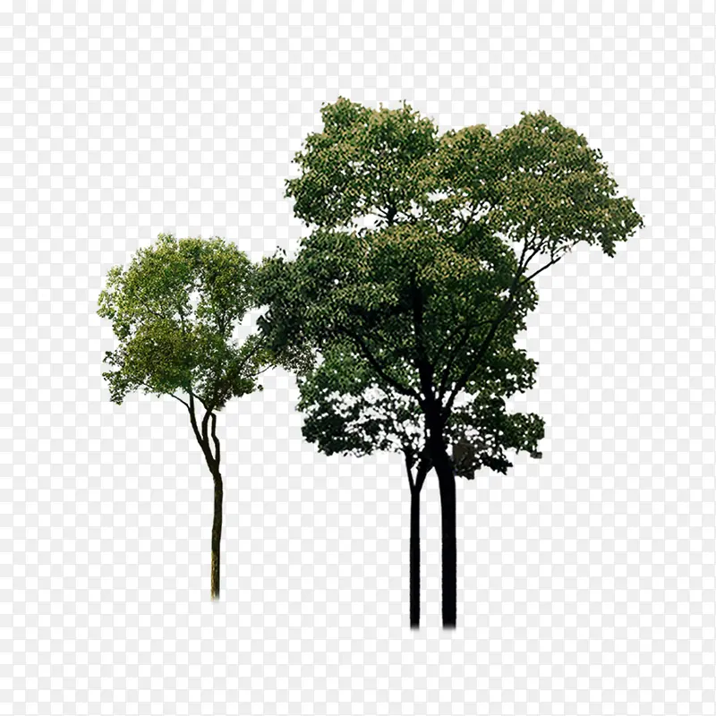 绿色植物PNG图片素材下载_图片编号qxjekvbr-免抠素材网
