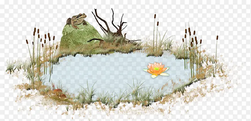青蛙荷塘手绘海报背景