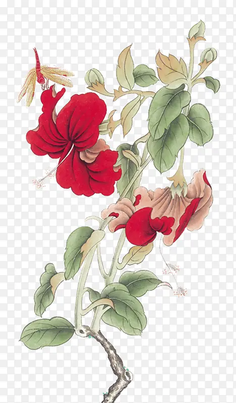 花枝