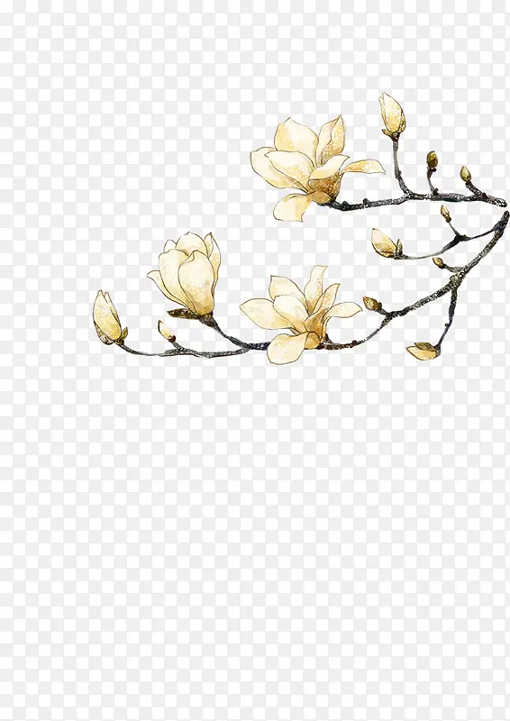 水墨兰花 梨花