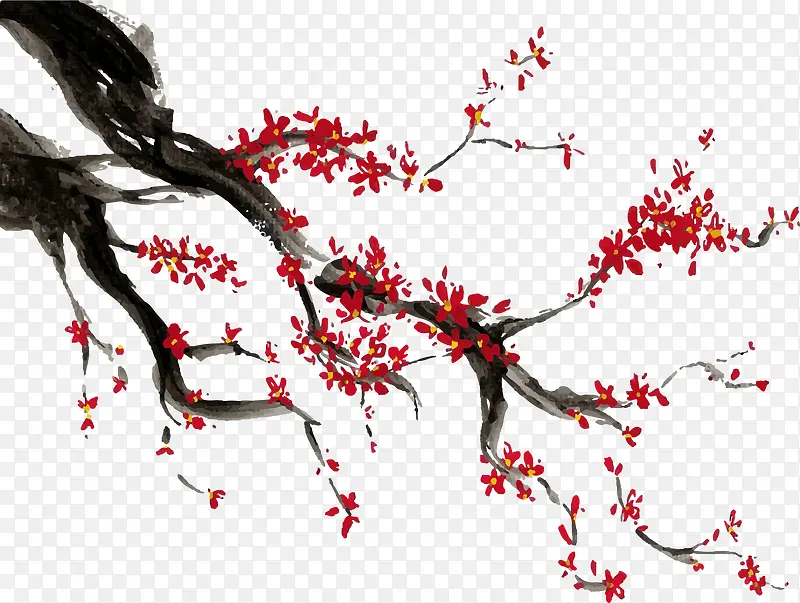 中国画梅花