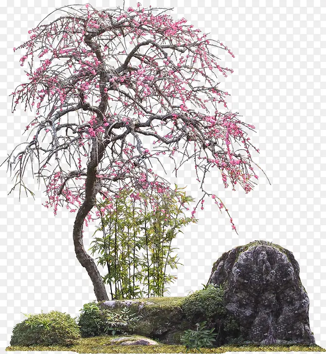 假山粉色花朵树木