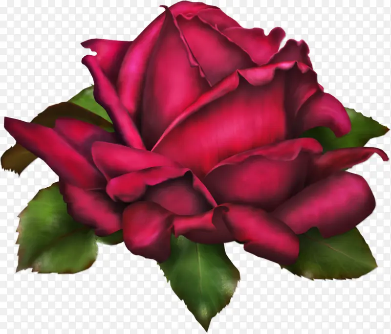 大红色玫瑰花深红色玫瑰花