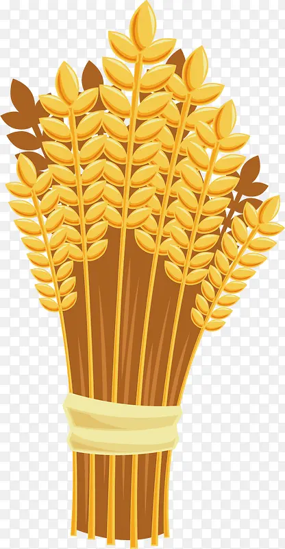 矢量图黄金色的小麦