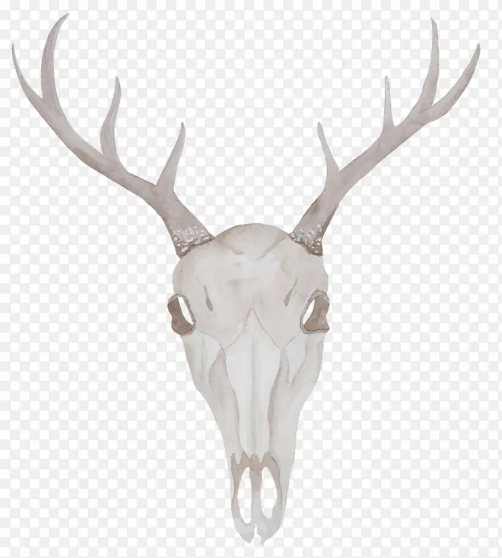 卡通手绘白色的鹿头