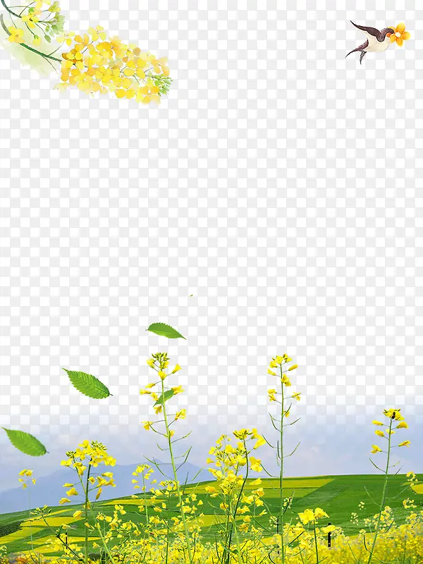 春季油菜花装饰边框创意设计