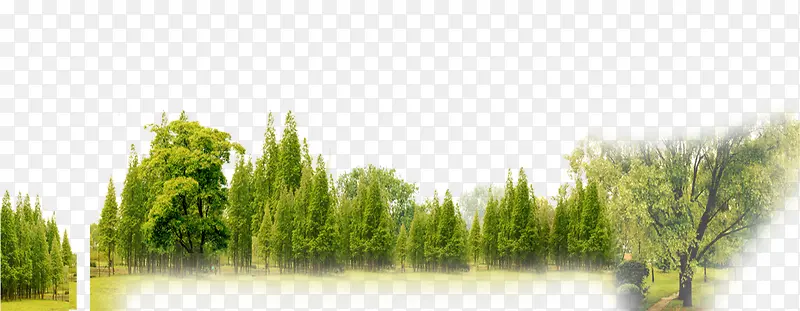 绿色树木森林实物素材