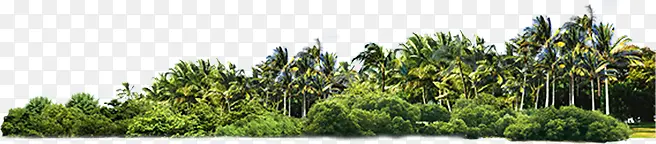 椰树海岛风光美景